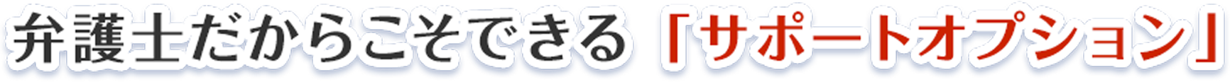 弁護士だからこそできる「サポートオプション」
